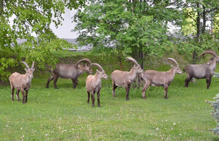 Natuurhuisje in Niedergrächen