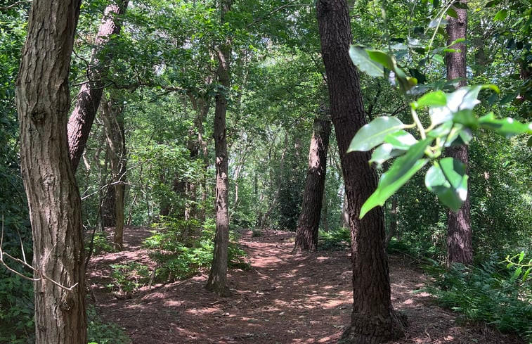 Natuurhuisje in Rucphen