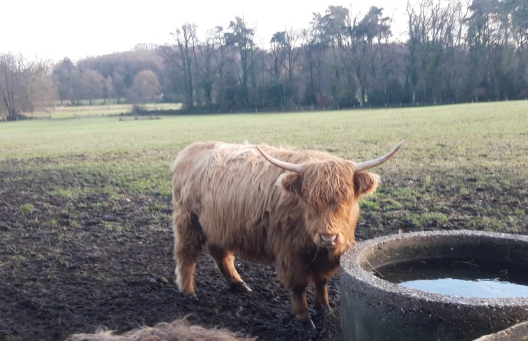 Natuurhuisje in Oldenzaal