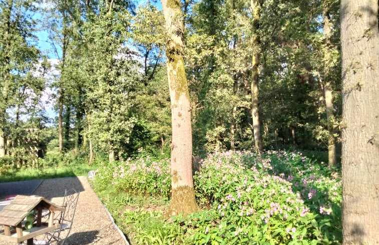 Natuurhuisje in Zutendaal