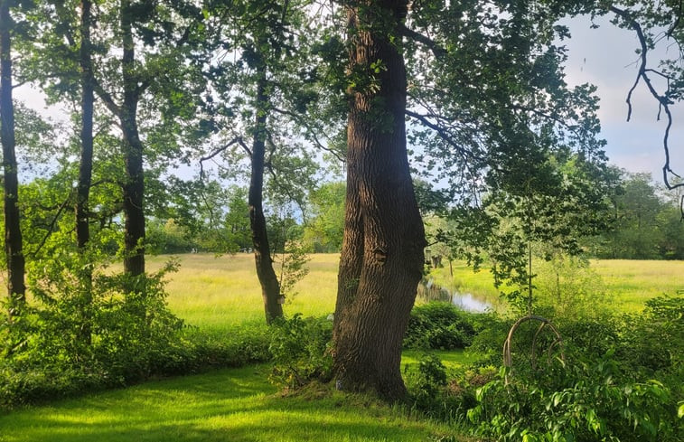 Natuurhuisje in Giethmen