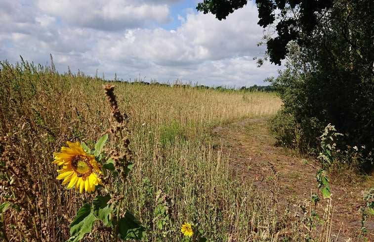 Natuurhuisje in Odoornerveen