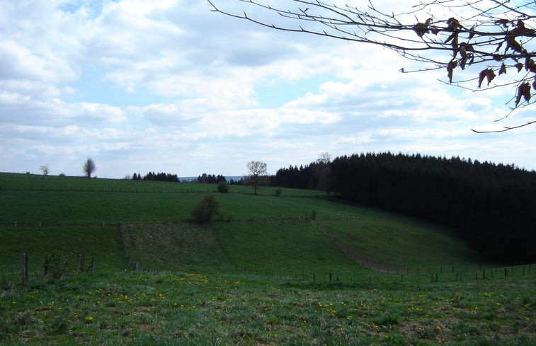 Natuurhuisje in Büllingen