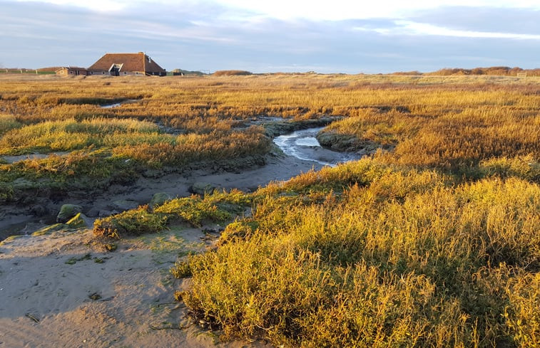 Natuurhuisje in Formerum