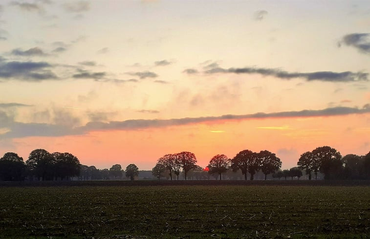 Natuurhuisje in Ruurlo