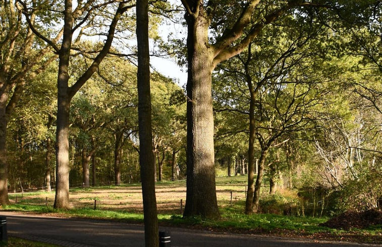 Natuurhuisje in Boijl