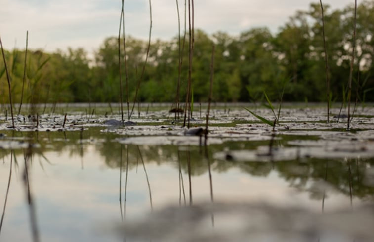 Natuurhuisje in Groenlo