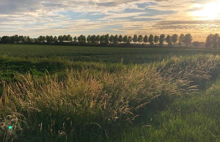 Natuurhuisje in Driewegen