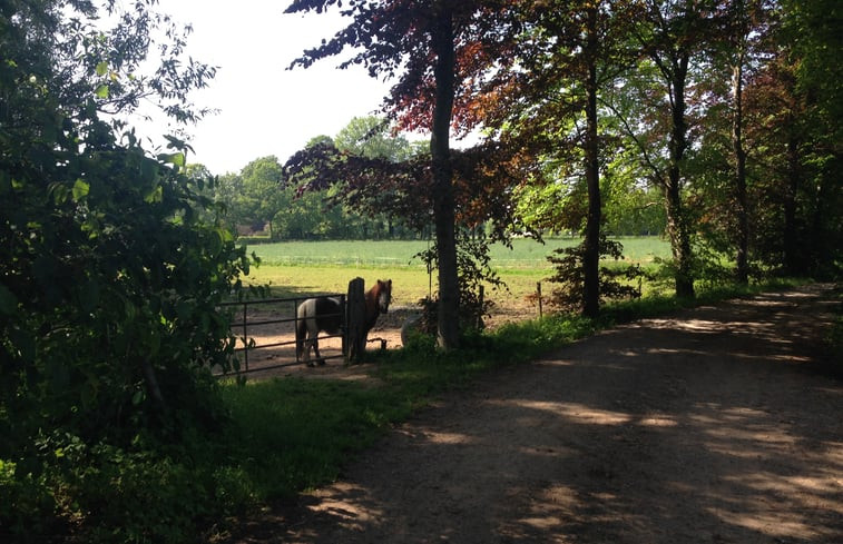 Natuurhuisje in Hengelo Gelderland (gemeente Bronckhorst)