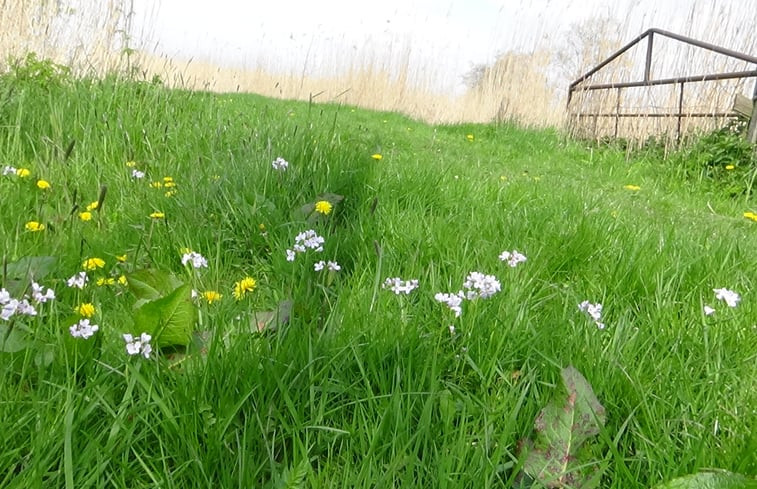 Natuurhuisje in Grou