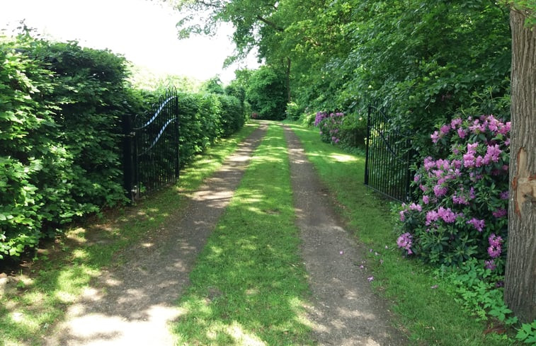 Natuurhuisje in Hollandscheveld