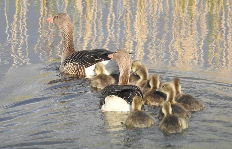 Natuurhuisje in Kalenberg