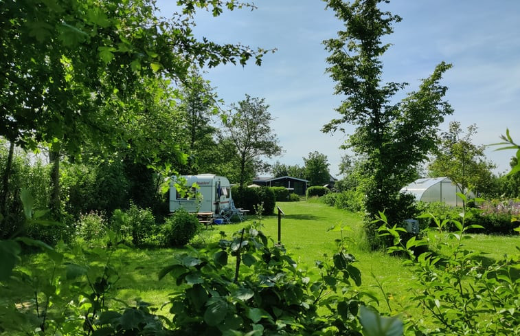 Natuurhuisje in Scherpenzeel