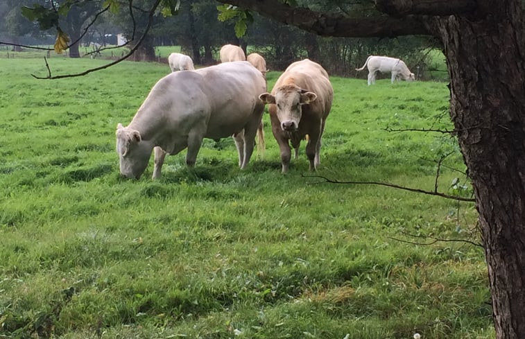 Natuurhuisje in Nietap