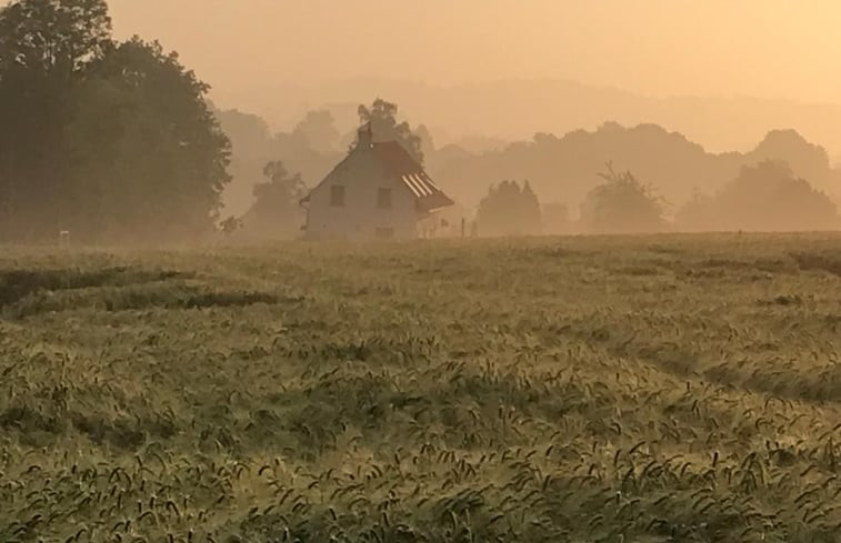 Natuurhuisje in ellezelles