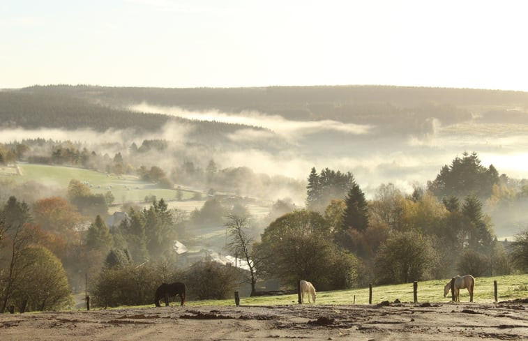 Natuurhuisje in Dochamps