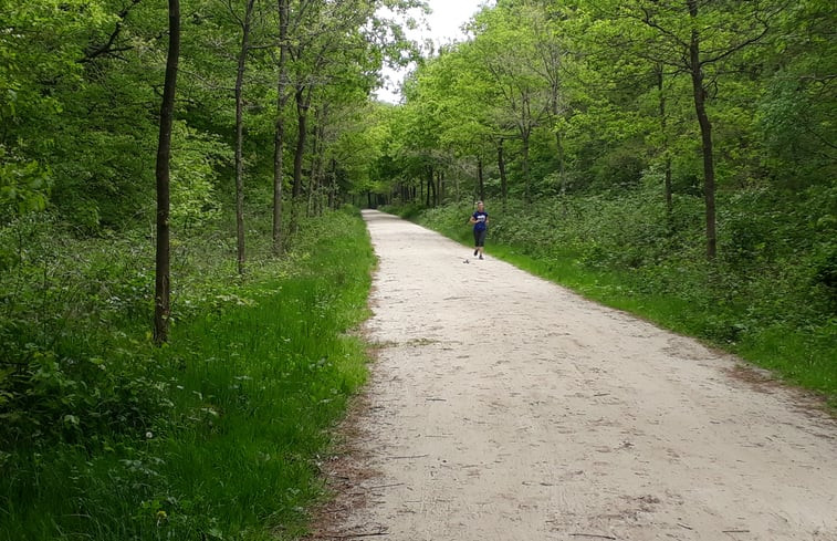 Natuurhuisje in Norg