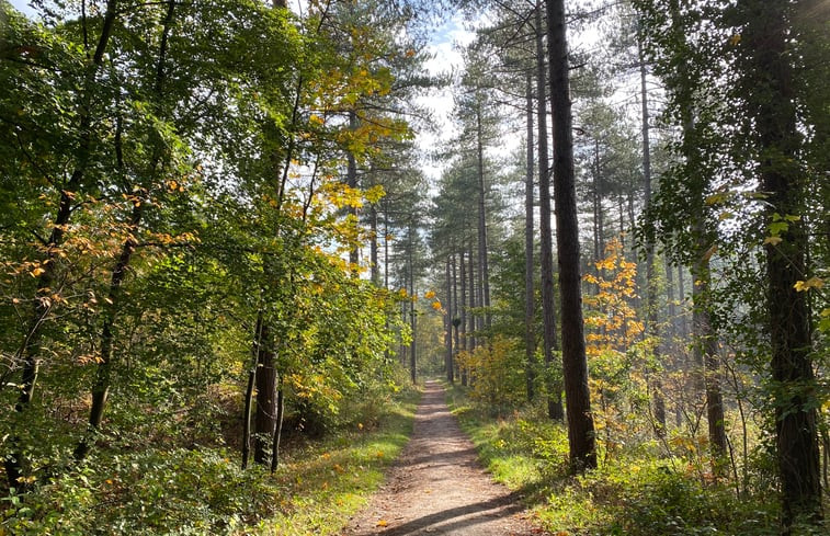 Natuurhuisje in Schoorl