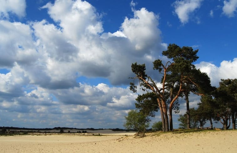 Natuurhuisje in Helvoirt