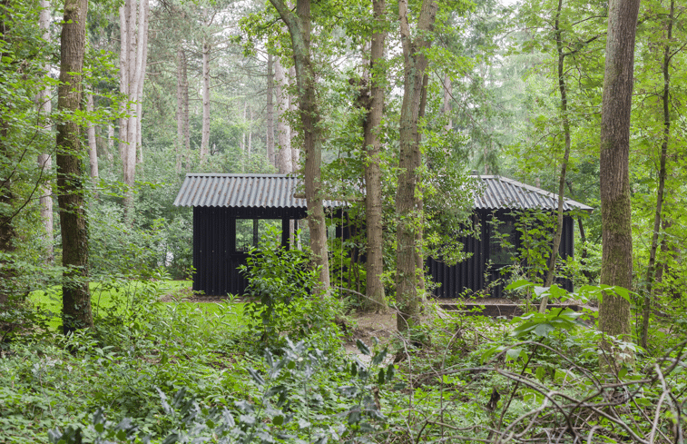 Natuurhuisje in Oudemirdum