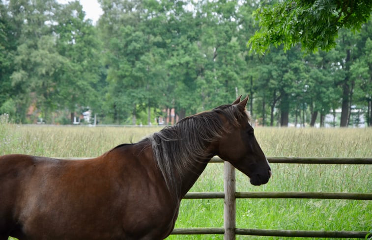 Natuurhuisje in Wehrbleck