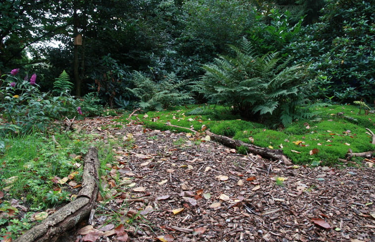 Natuurhuisje in Dalfsen