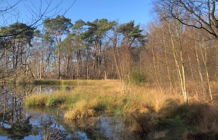 Natuurhuisje in IJhorst