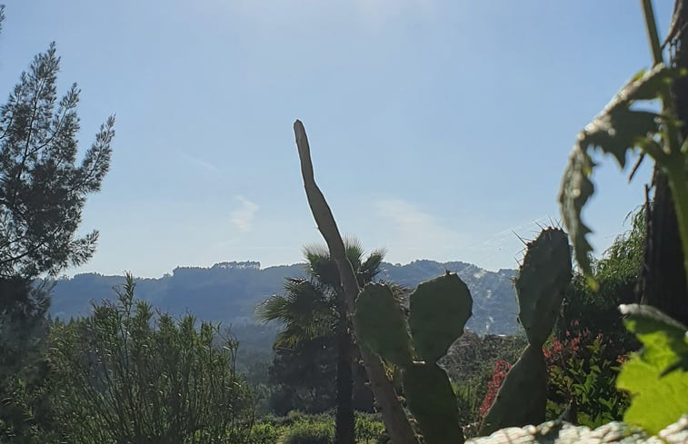 Natuurhuisje in Lameiras, Paio Mendes, Ferreira do Zêzere