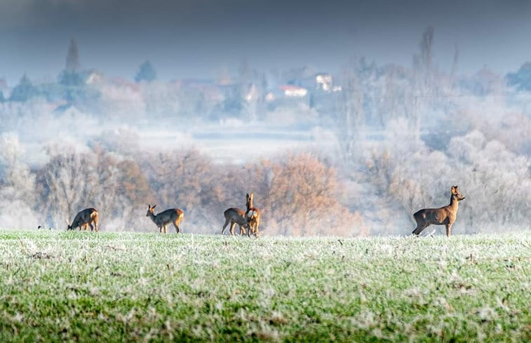 Natuurhuisje in Chezelle