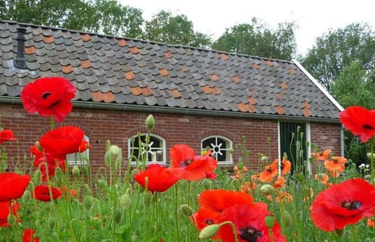 Natuurhuisje in Aalten