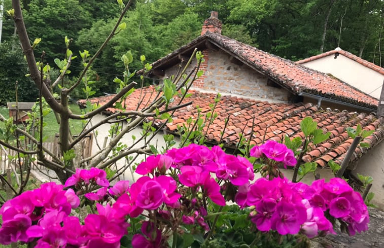 Natuurhuisje in Saint Laurent sur Gorre