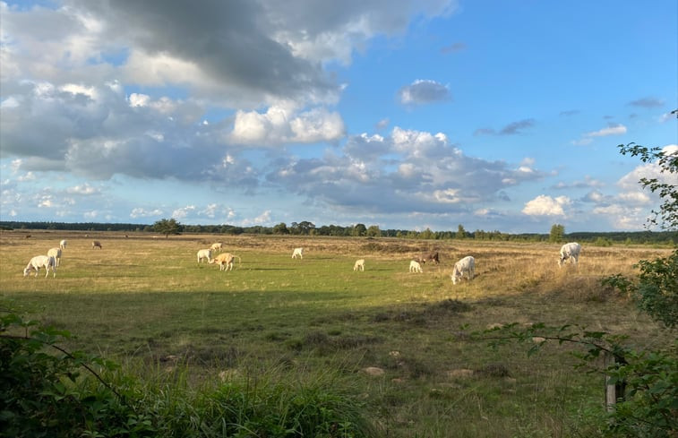 Natuurhuisje in Dwingeloo