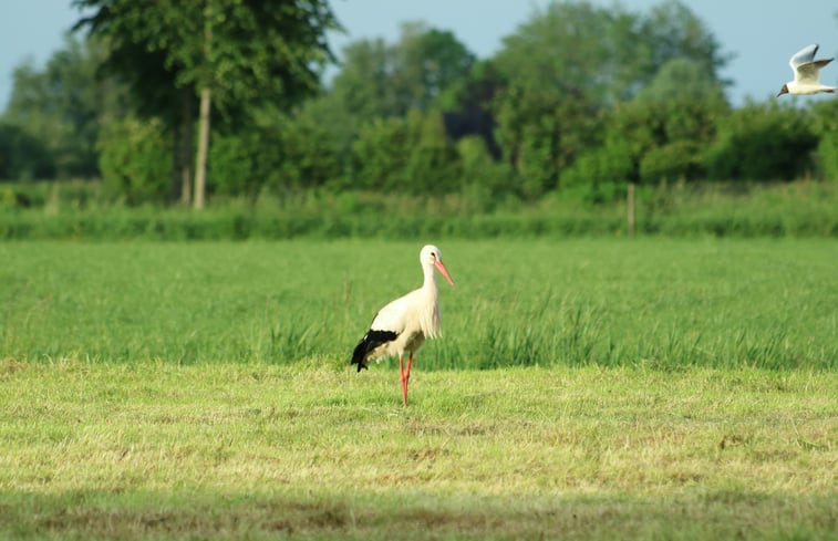 Natuurhuisje in Overschild