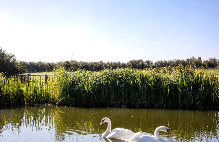 Natuurhuisje in Diksmuide