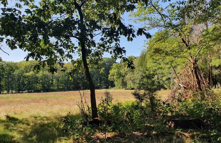 Natuurhuisje in Elspeet