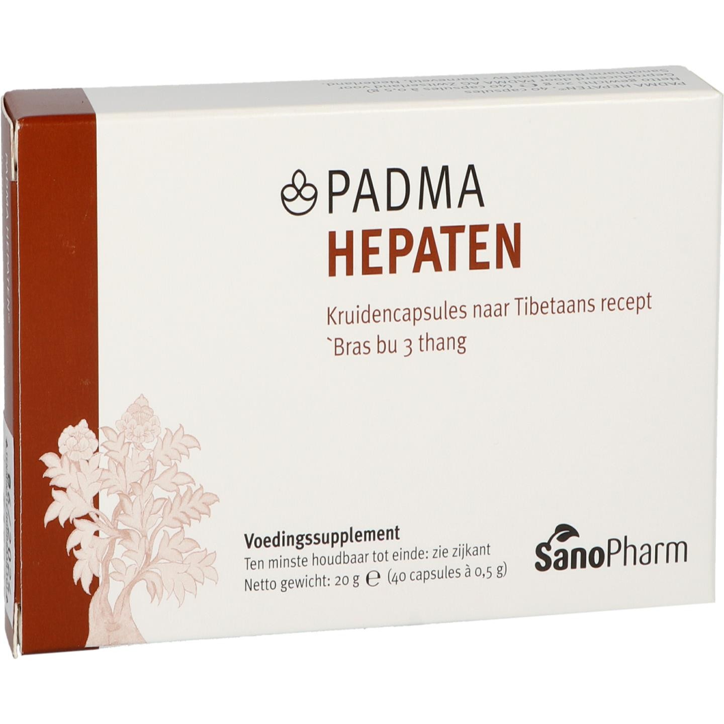 Padma Hepaten