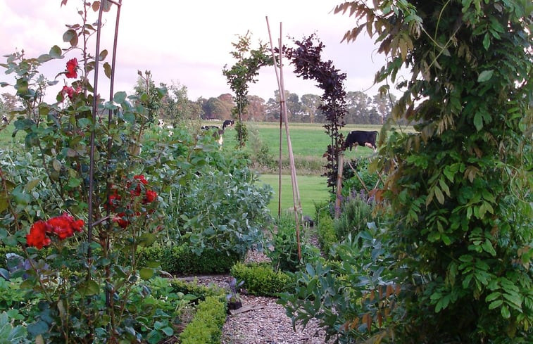 Natuurhuisje in Gytsjerk