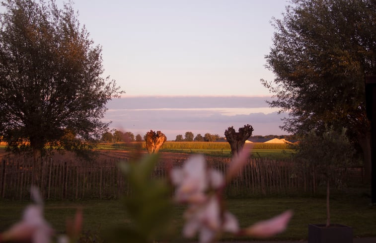 Natuurhuisje in De Rips