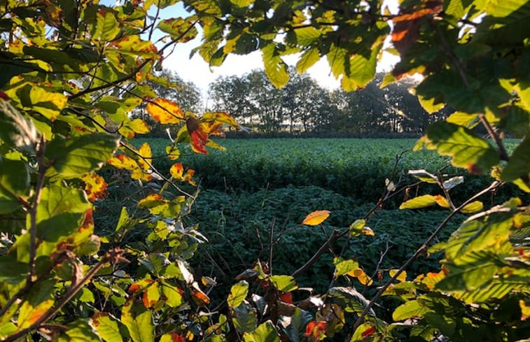 Natuurhuisje in Egem