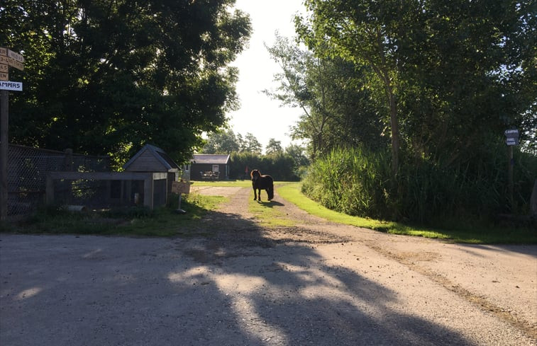 Natuurhuisje in Sint Annaparochie