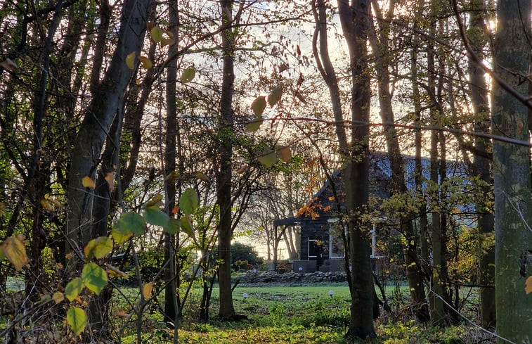 Natuurhuisje in Dreischor