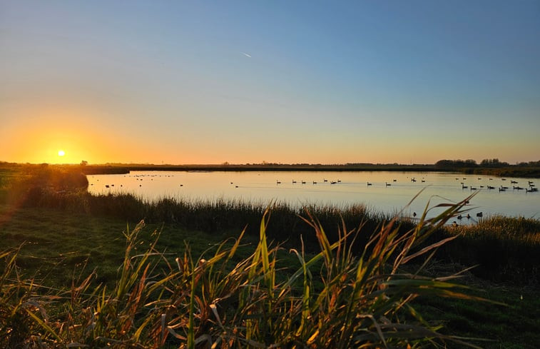 Natuurhuisje in Westergeest