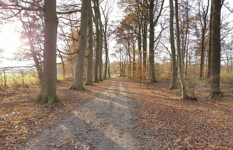 Natuurhuisje in Lettele