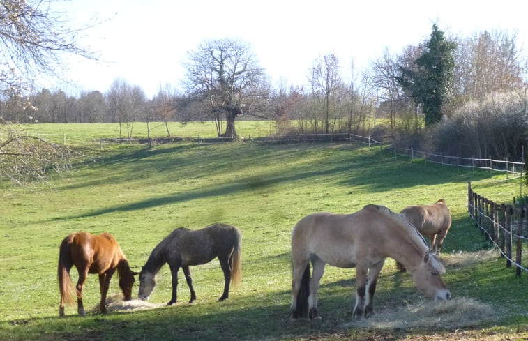 Natuurhuisje in Lanquais