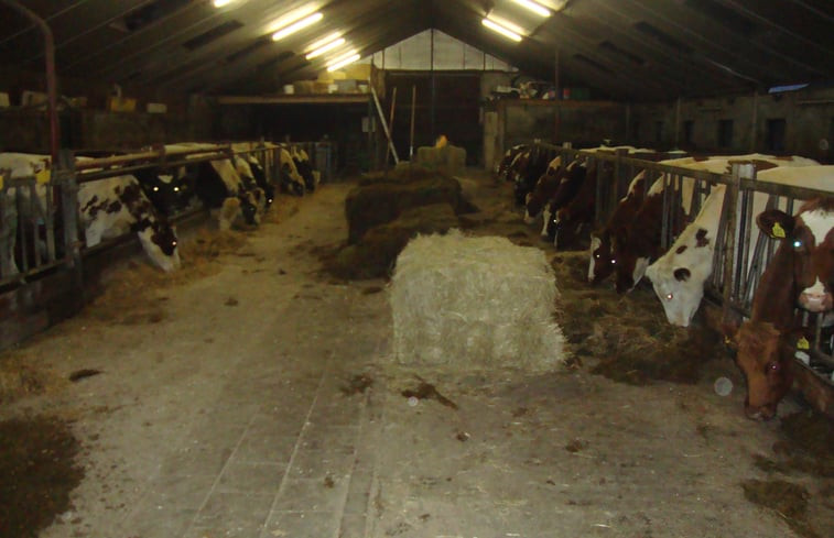 Natuurhuisje in haarle gem hellendoorn