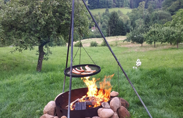 Natuurhuisje in Lautenbach