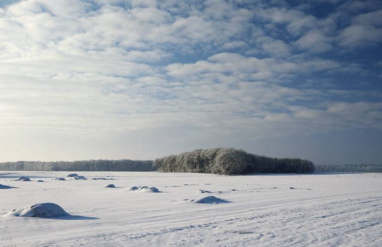 Natuurhuisje in Schoonloo