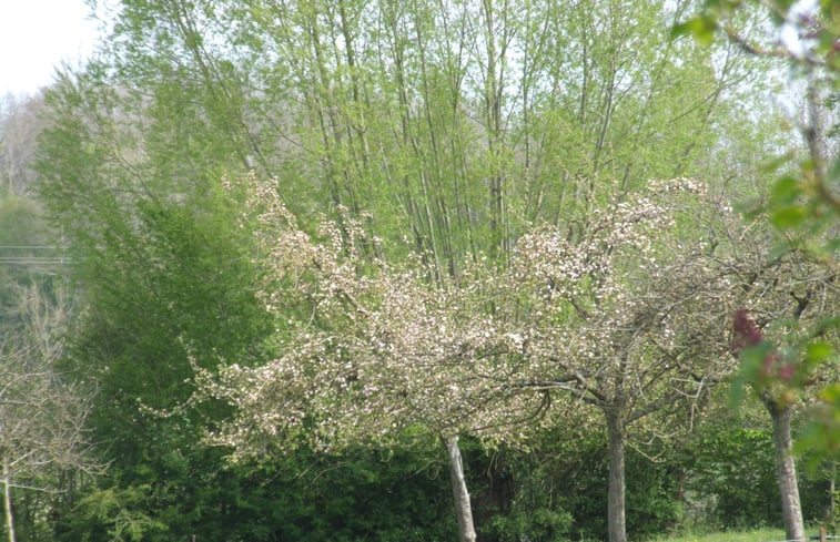 Natuurhuisje in Parfondeval