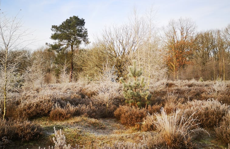 Natuurhuisje in Nijlen