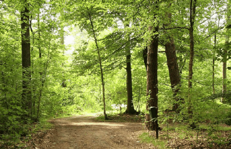 Natuurhuisje in Hengelo